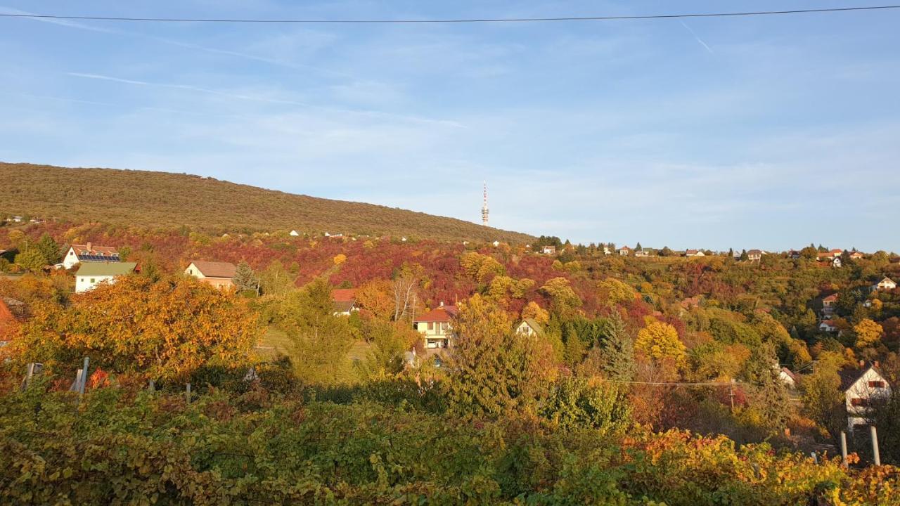 Hillside Cottage Pécs Exterior photo